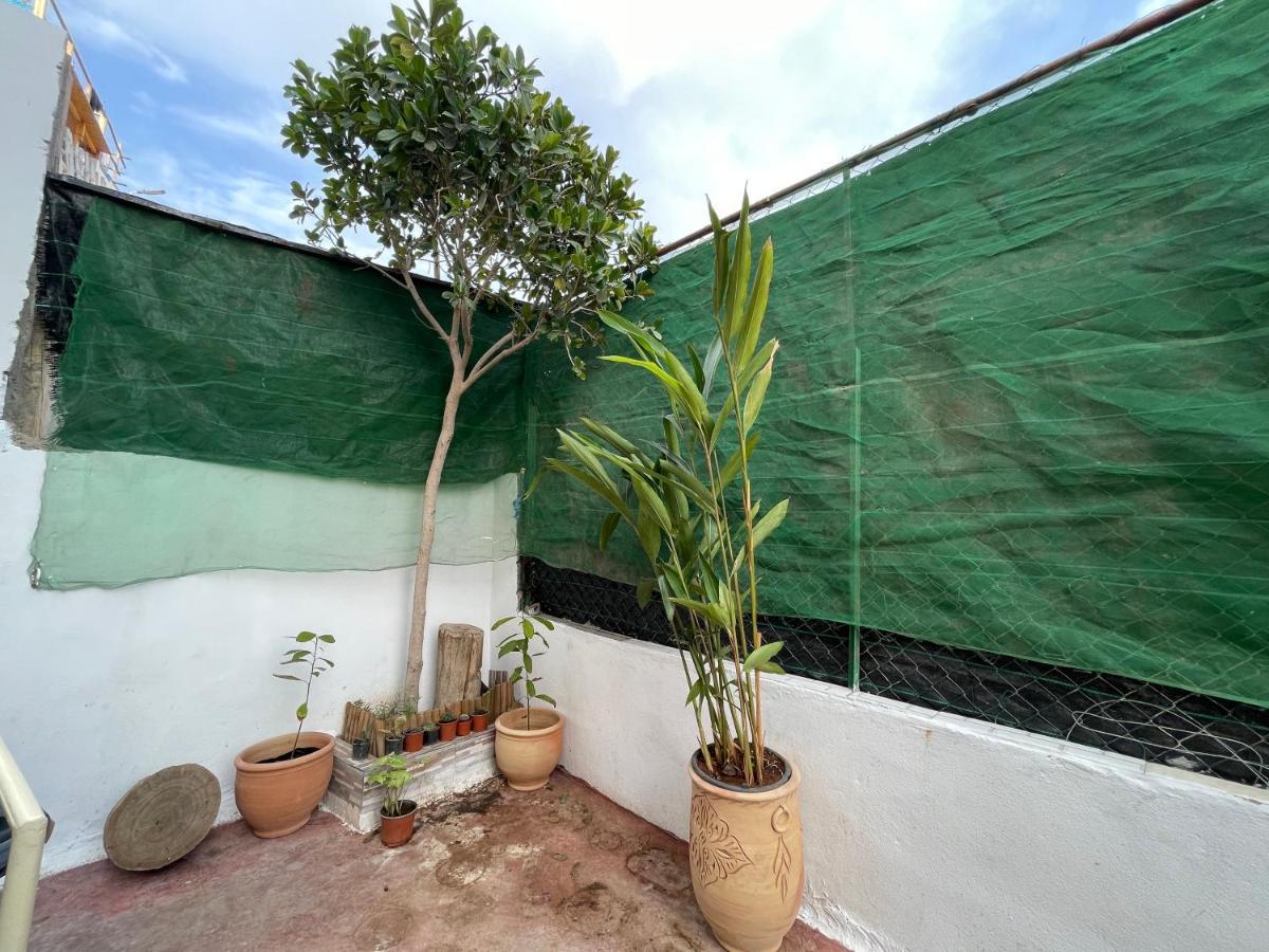 塔哈佐特 Jungle Surf House旅舍 外观 照片