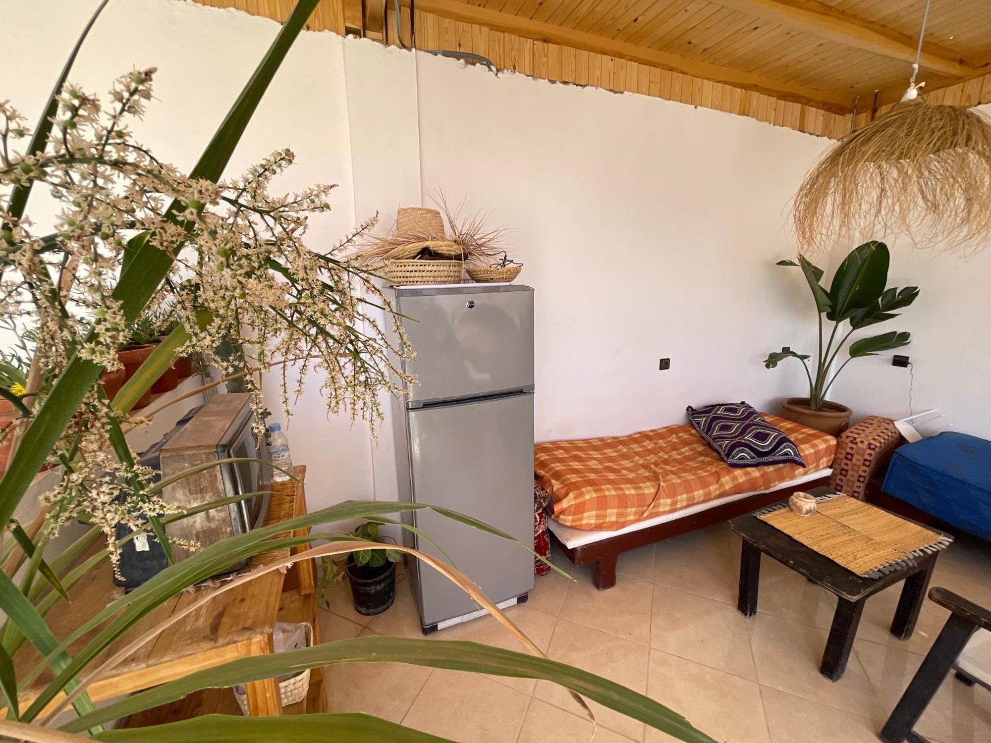 塔哈佐特 Jungle Surf House旅舍 外观 照片